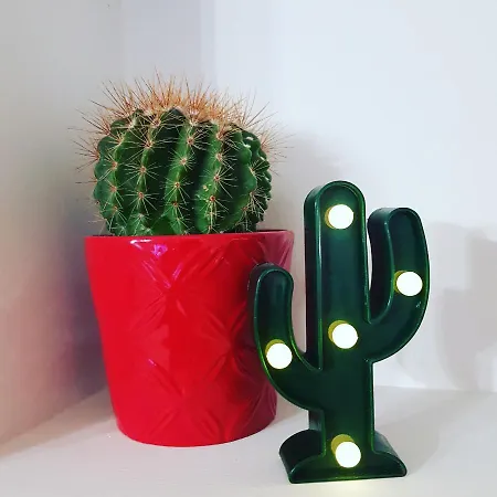 Il Cactus Vacanze Capena