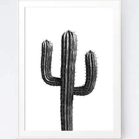 Il Cactus Vacanze Apartment Capena