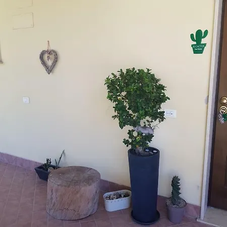 Apartmán Il Cactus Vacanze