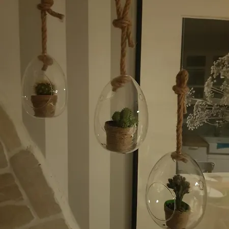 Il Cactus Vacanze Apartment Capena